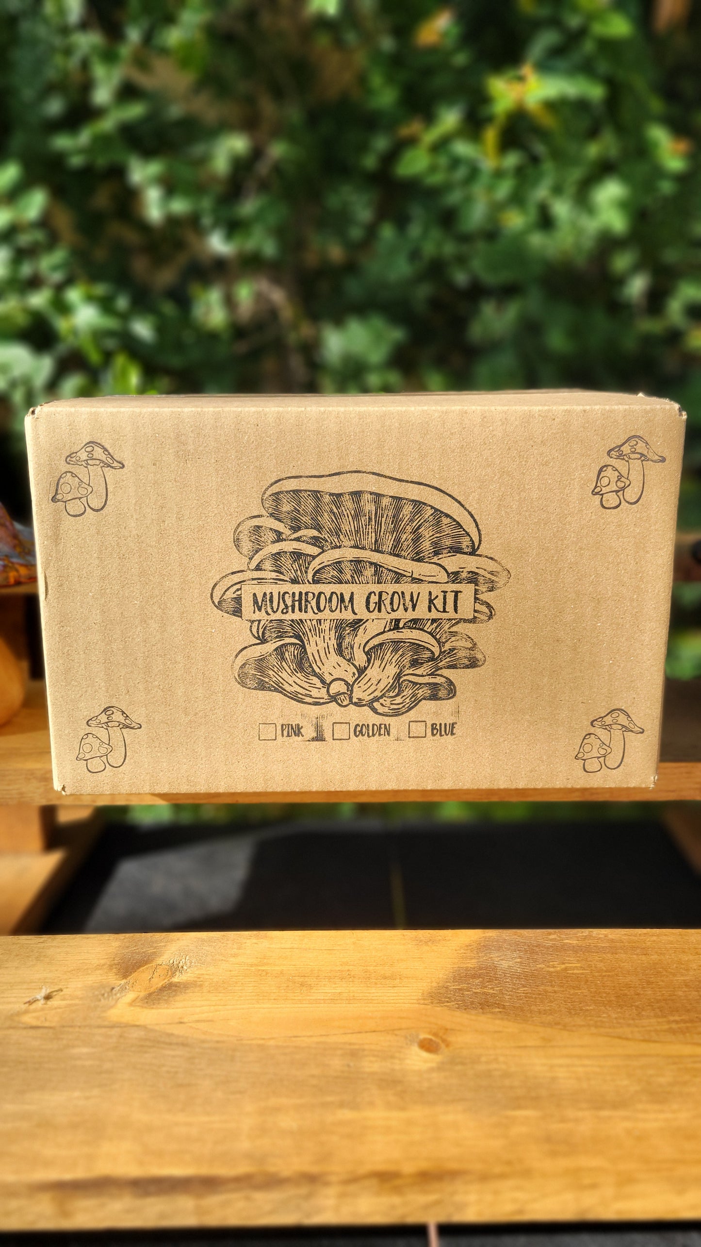 Mushroom Grow Kit